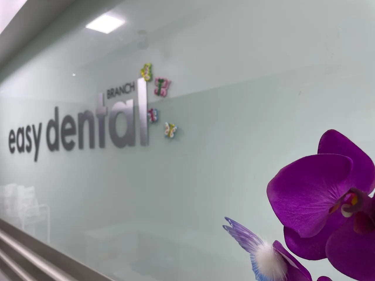 Easy Dental sign on the reception wall behind purple orchids, Al Satwa